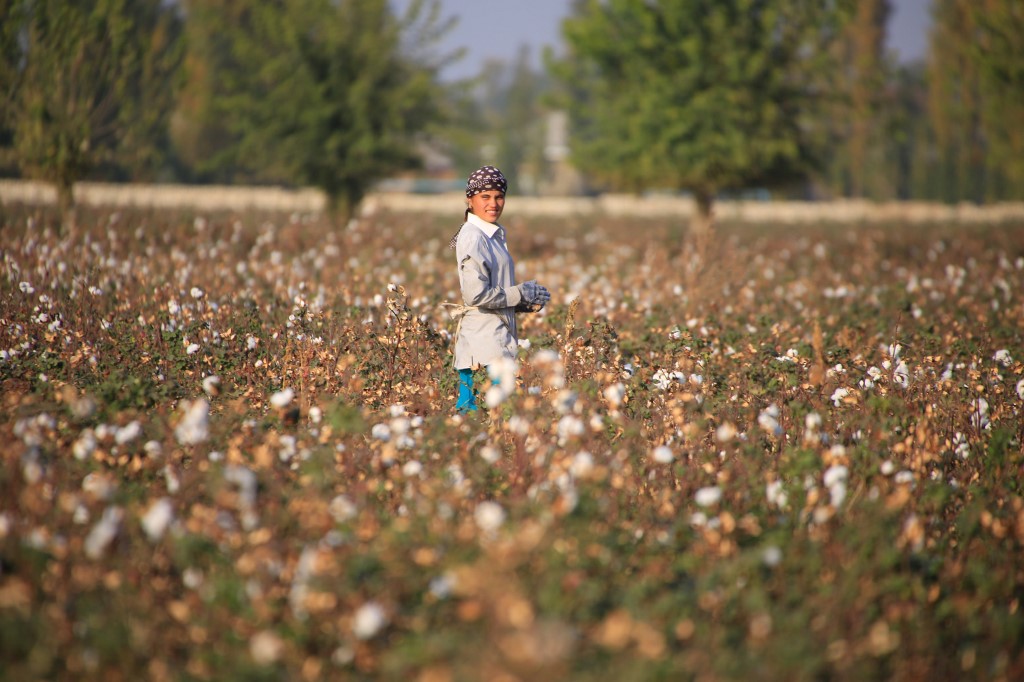 Old Industry, New Vision! Uzbekistan Cotton Undergoing Change Al Bawaba