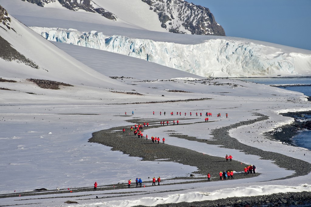 Tourists Spend Thousands to Swim Among Penguins in Antarctica | Al Bawaba