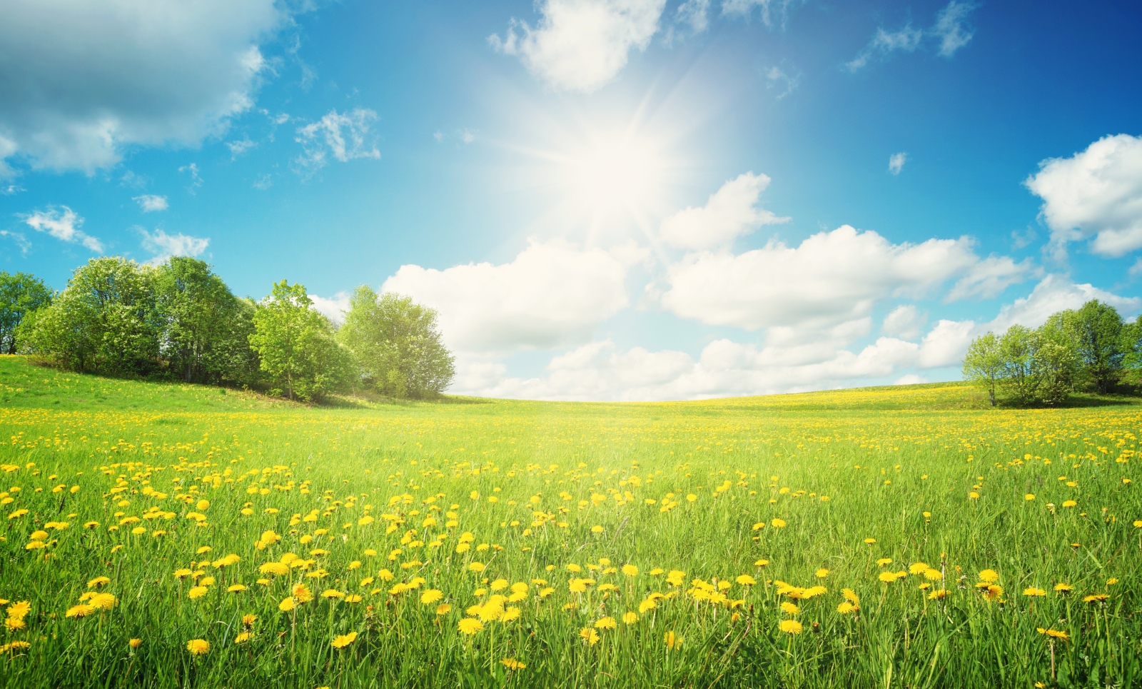 عبارات عن قدوم فصل الربيع 2026