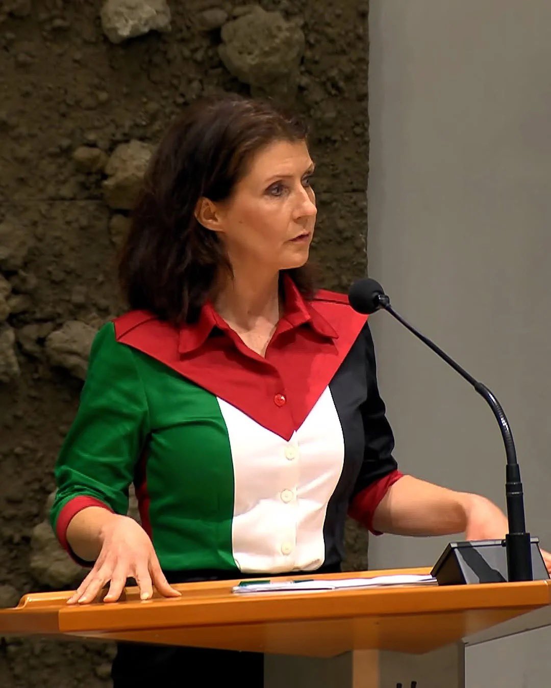 Palestinian colors in Dutch parliament ignite political outrage
