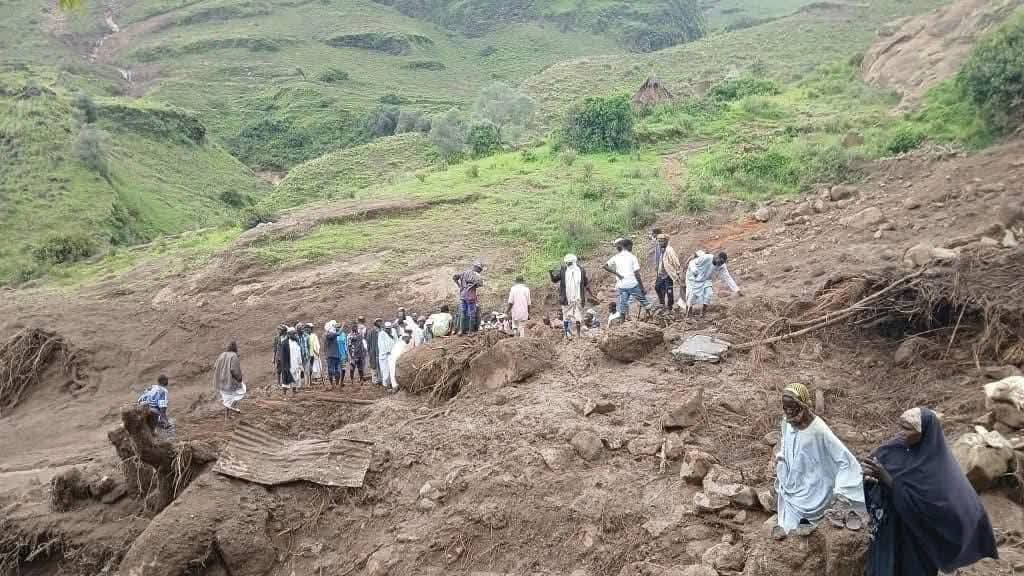 Landslide wipes entire village, kills over 1,000 in Sudan's Darfur