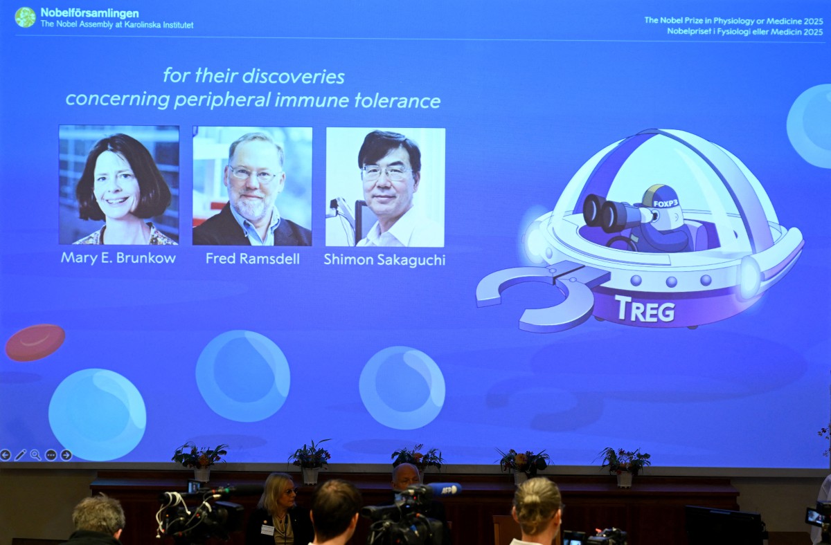 Mary Brunkow, Fred Ramsdell, Shimon Sakaguchi win 2025 Nobel Prize in Medicine