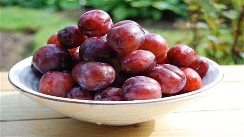 تفسير رؤية أكل البرقوق في المنام وعلاقته بتغير الأحوال