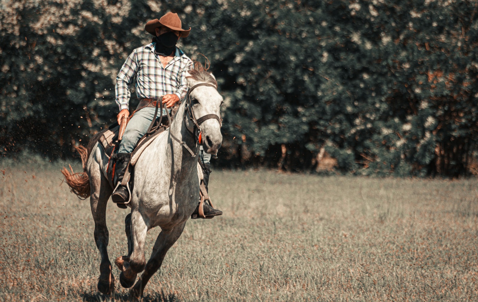 تفسير حلم ركوب الخيل والجري به للرجل لابن سيرين