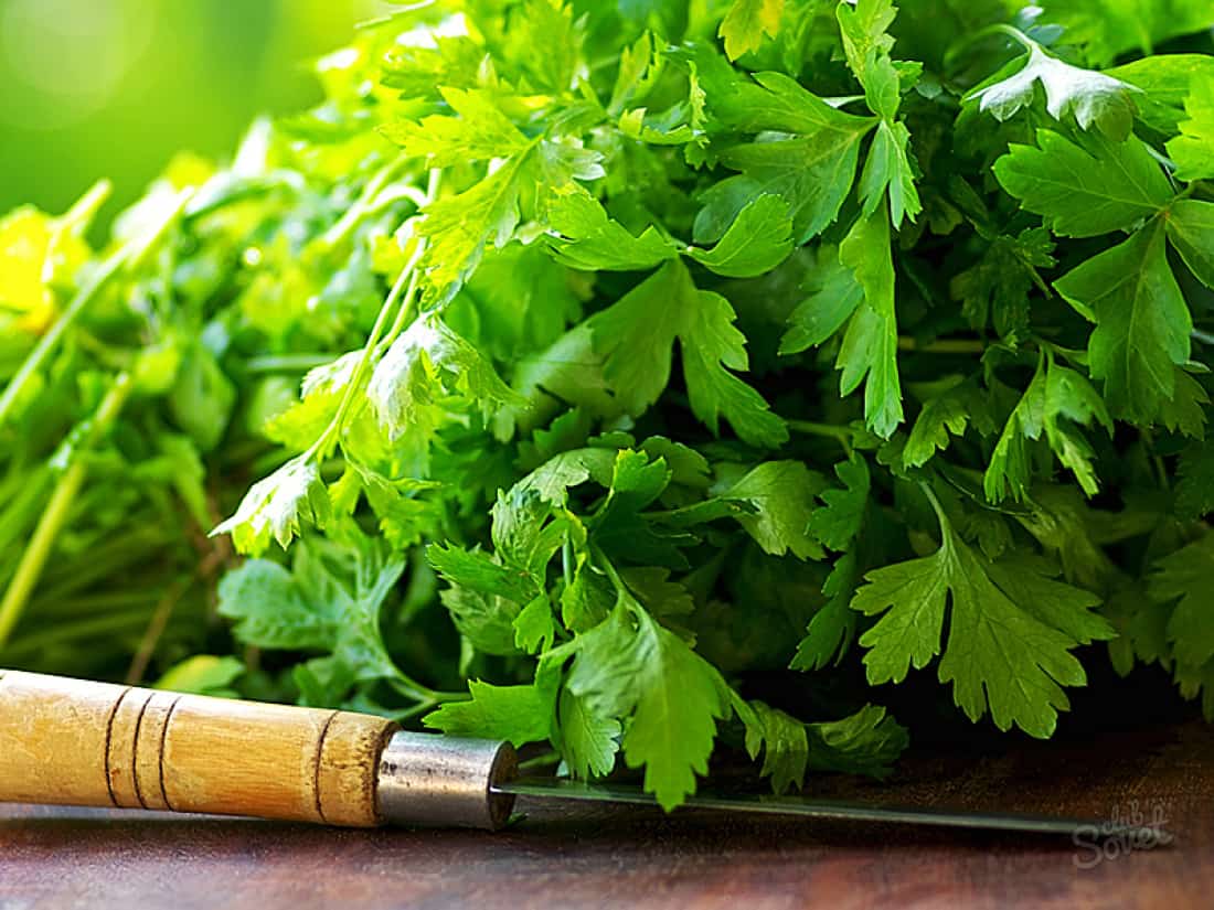 تفسير حلم البقدونس في المنام وأبرز دلالاته