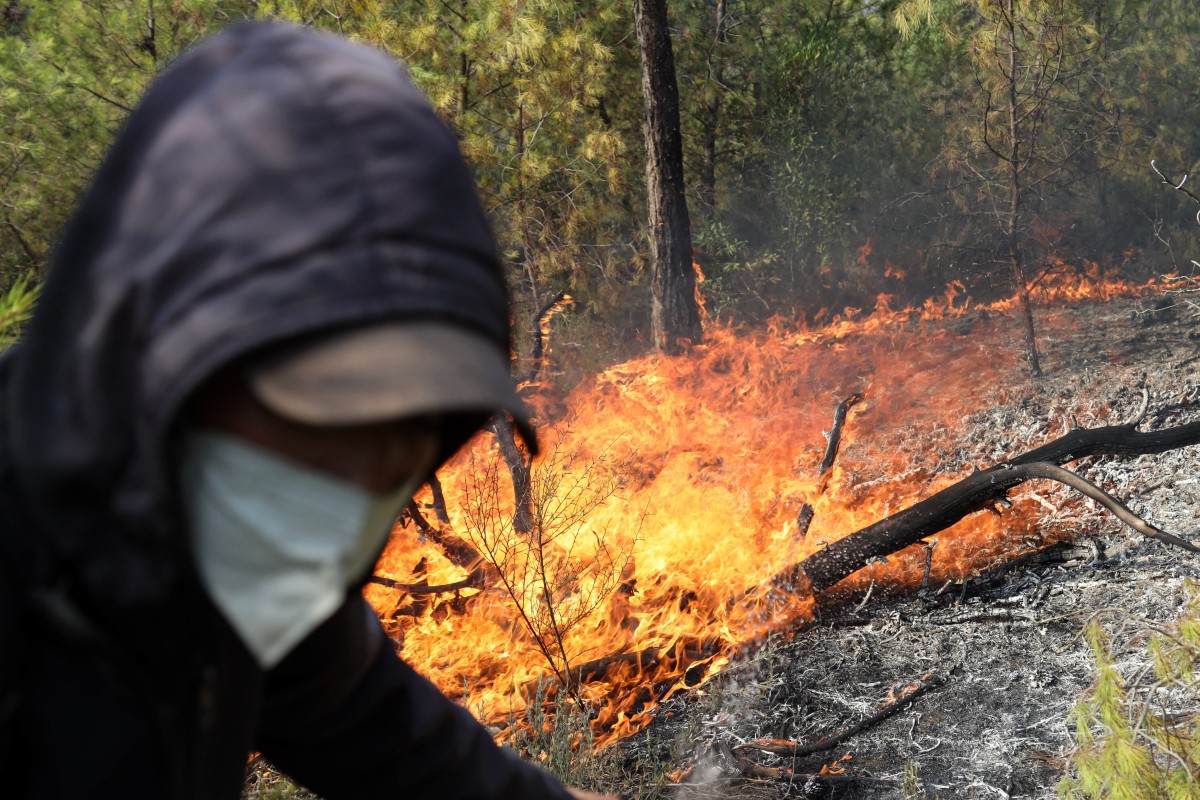 Algeria wildfires nears hospital, 100 patients evacuated