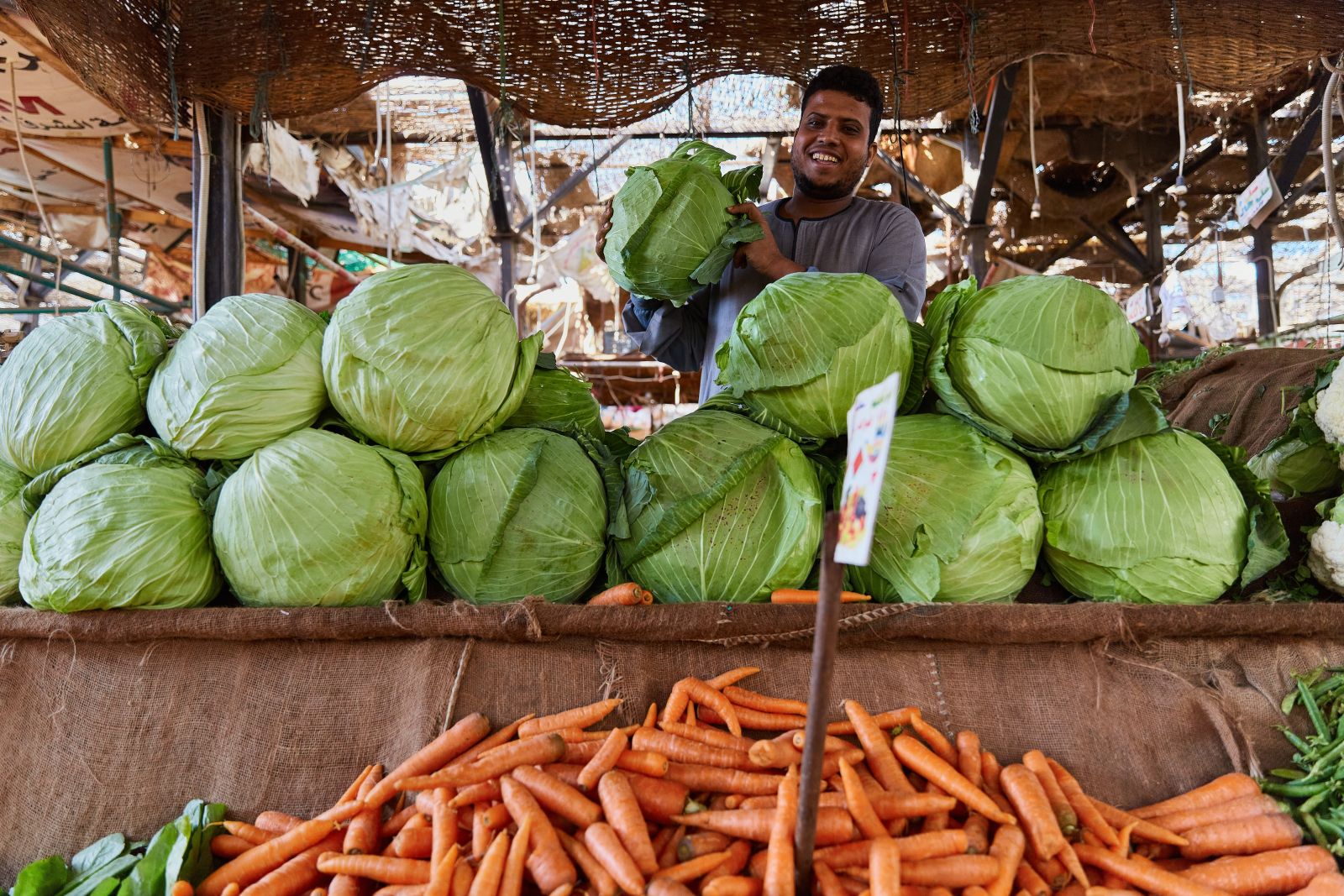 Egypt's agricultural exports hit new highs