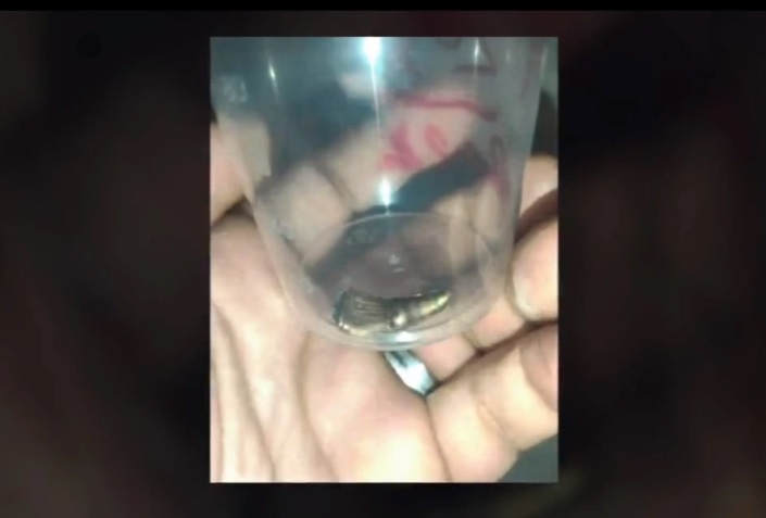 ""الرصاصة التي اغتالت شيرين أبو عاقلة