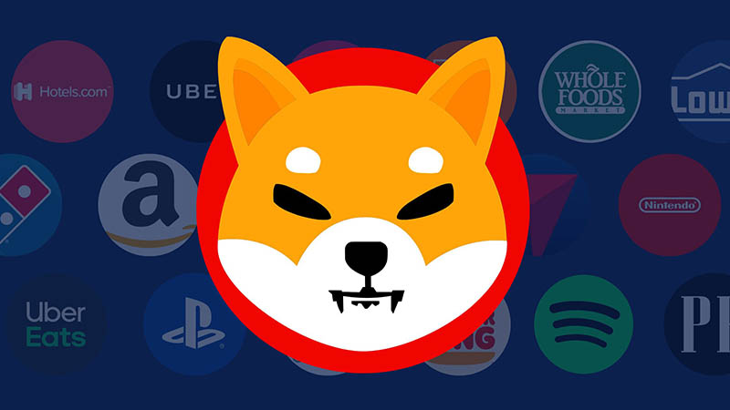 الأسئلة الشائعة حول العملة الرقمية shiba