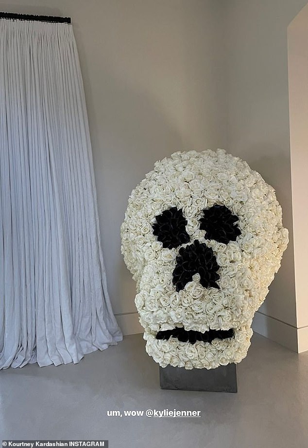 ورود على شكل جمجمة