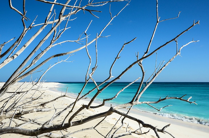 السياحة في سيشل