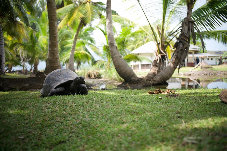 السياحة في سيشل 