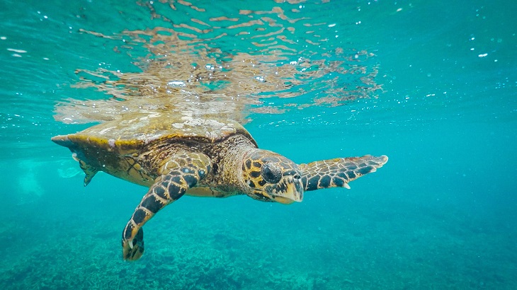 السياحة في سيشل