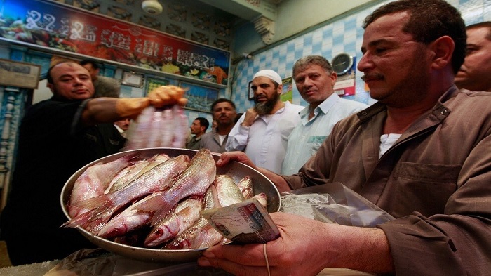 تسمم عائلة بعد تناول سمكة الأرنب