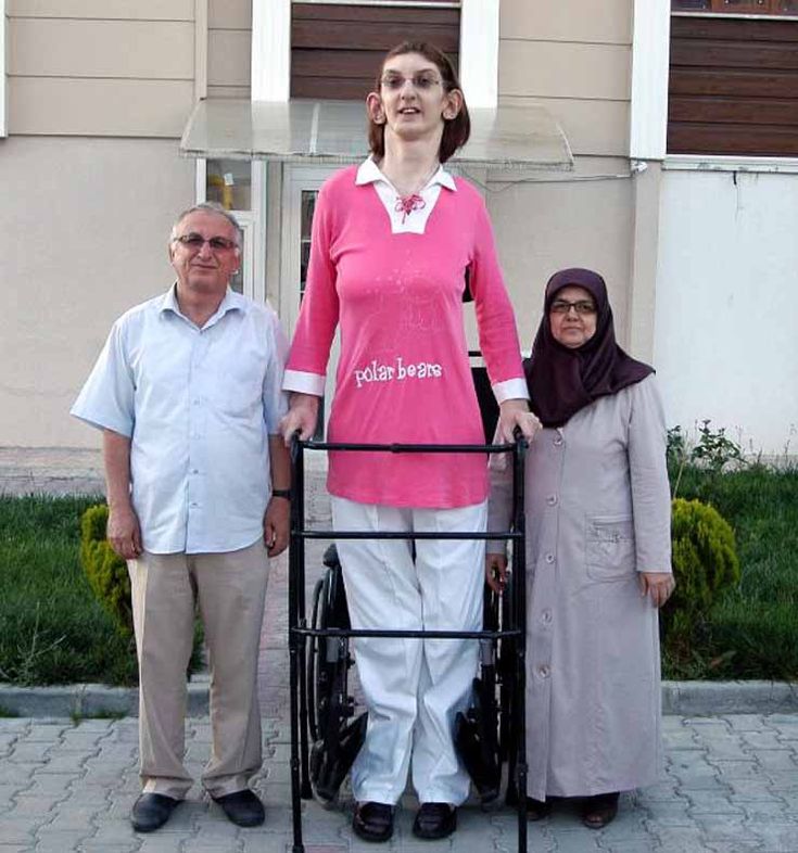 روميسا جيلجي