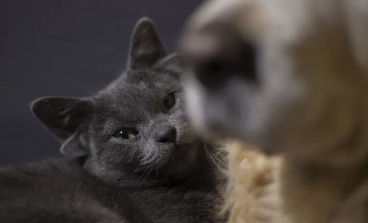 ����� ���� ����� ���� ����� 61995d2b280000e4247e