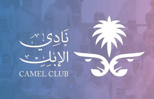 نادي الإبل في السعودية