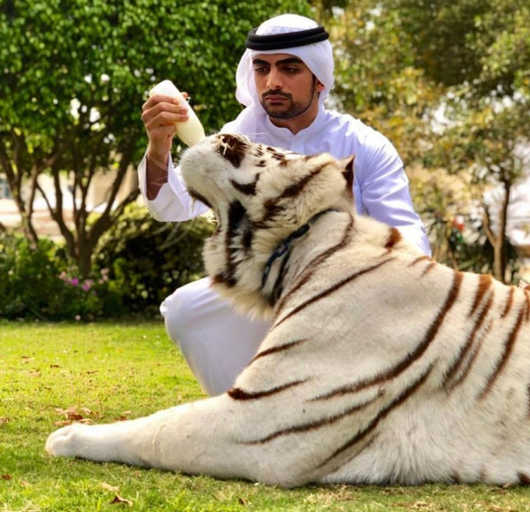"الشيخ مانع انستقرام"