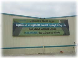 الرشيد للتجارة والمقاولات