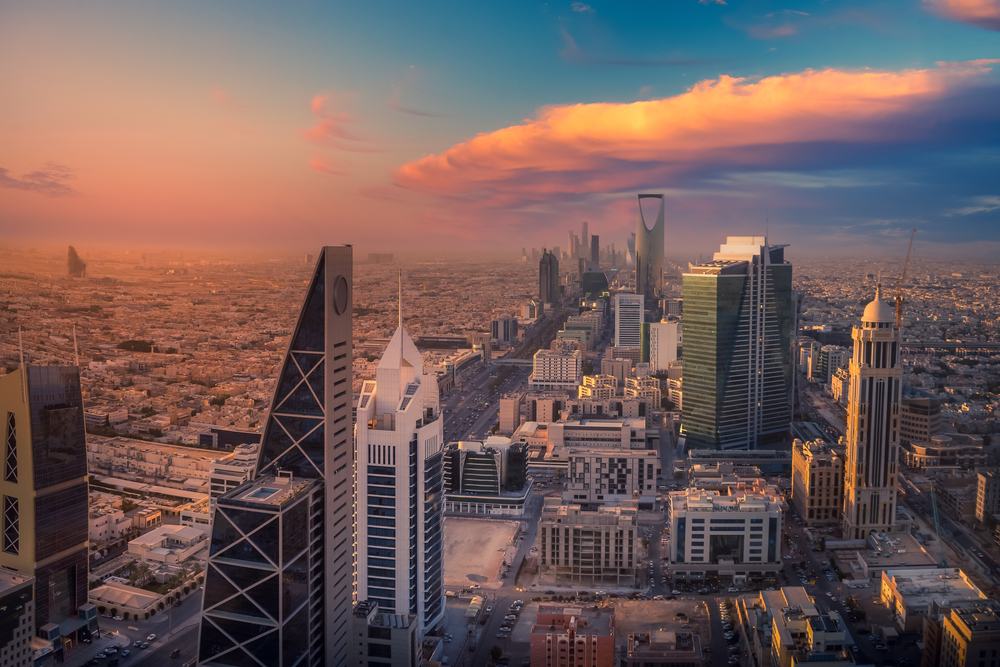 الاستراتيجية الوطنية للاستثمار 