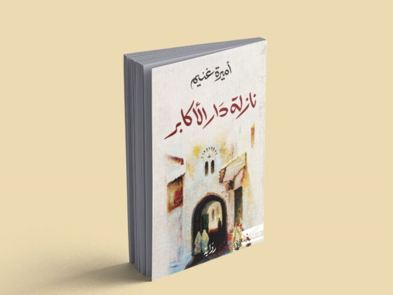 أميرة غنيم تصدر روايتها الجديدة "نازلة دار الأكابر" 