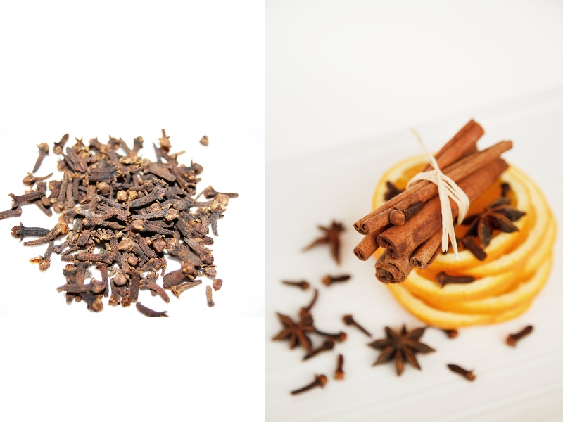 طبيب البوابة: أنت بحاجة إلى هذه التوابل لمناعة قوية