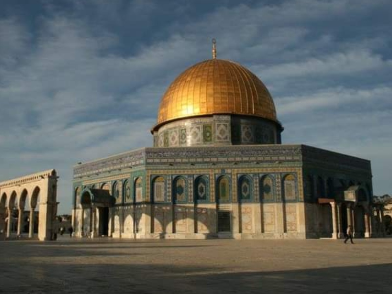 فلسطين بعيون الكاتب محمود سمير النشاشقي.."أتسألني من أنا؟"