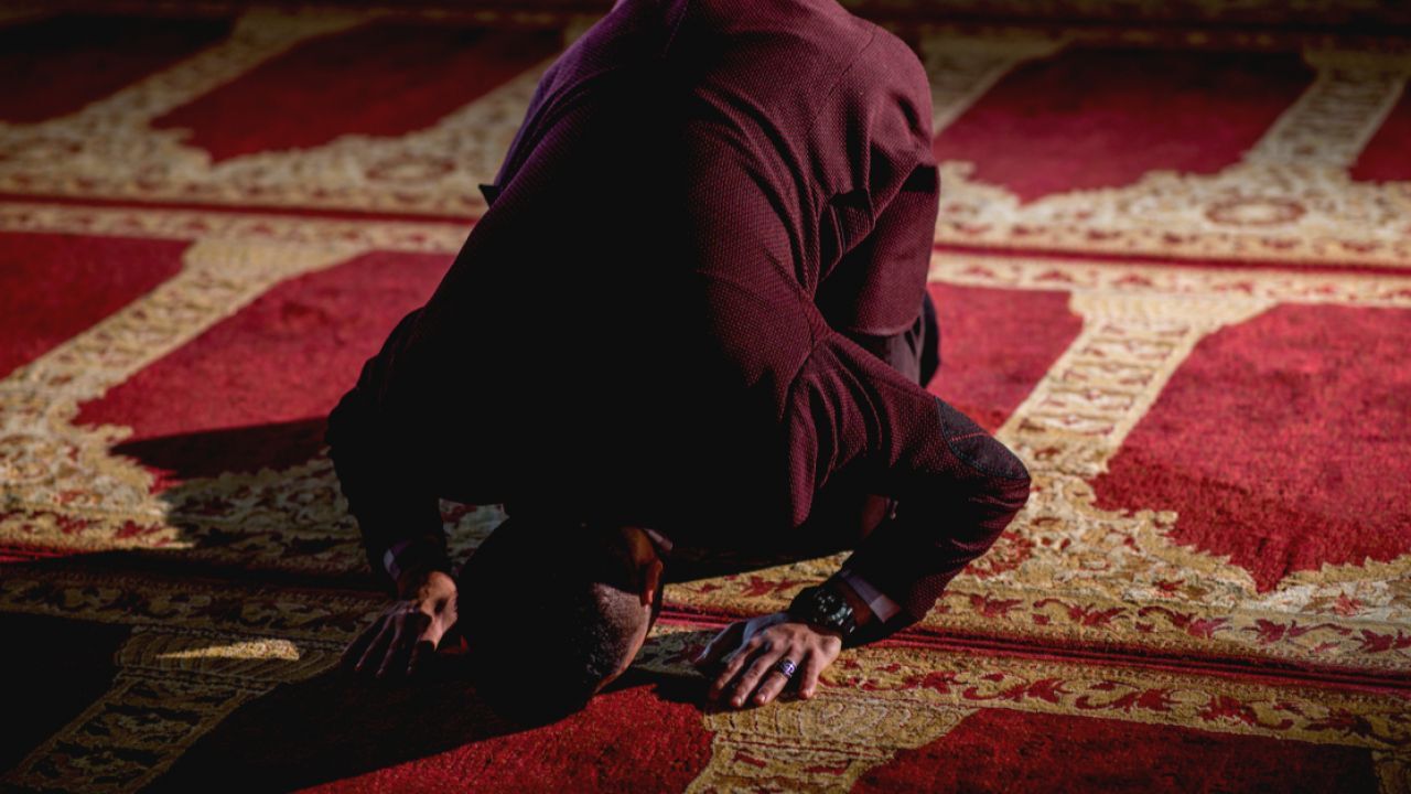 الأسئلة الشائعة 