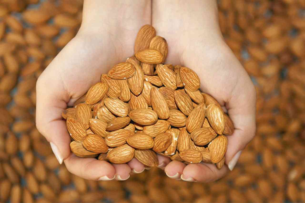 تفسير حلم اللوز في المنام لابن سيرين