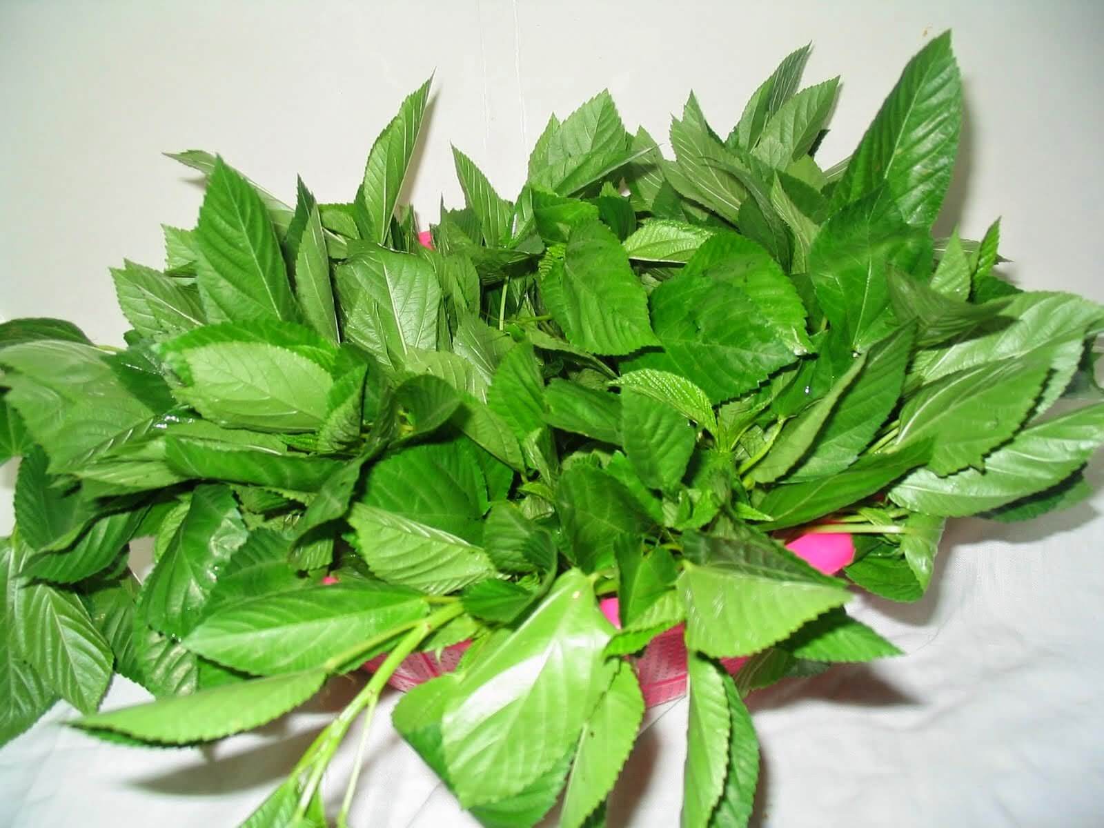 تفسير حلم الملوخية للحامل