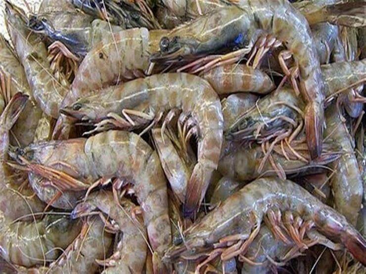 تفسير حلم صيد السمك والجمبري