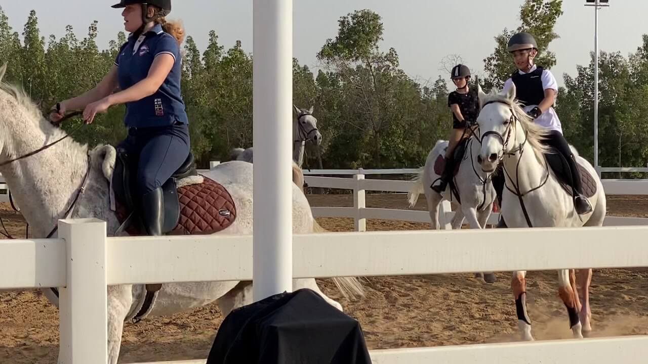 تفسير ركوب الخيل الأبيض في المنام