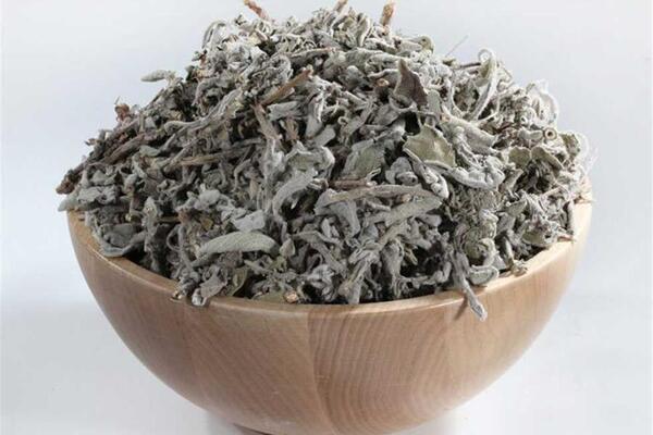 فوائد الميرمية