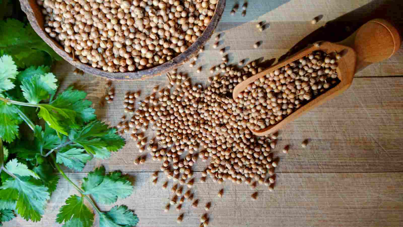 فوائد بذور البقدونس البوابة