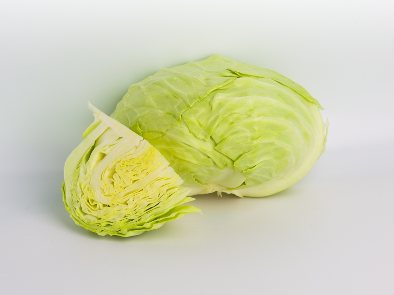 الملفوف