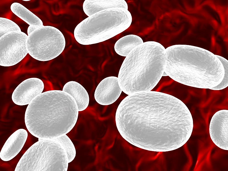 كريات الدم البيضاء عند الأطفال