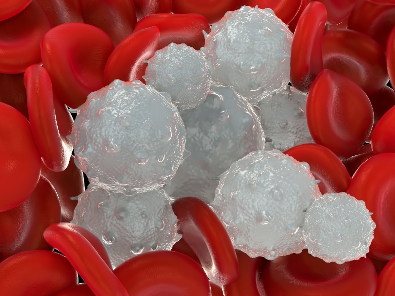 كريات الدم البيضاء عند الأطفال