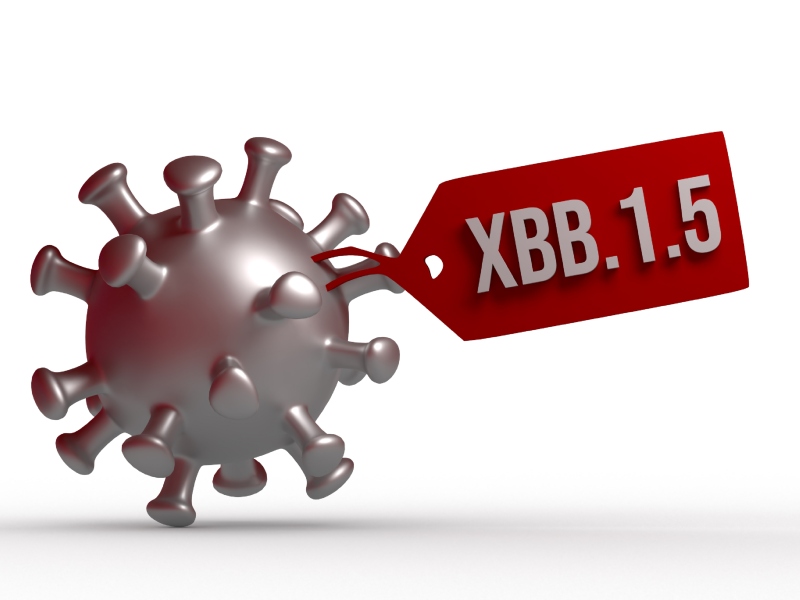 متحور كورونا XBB 