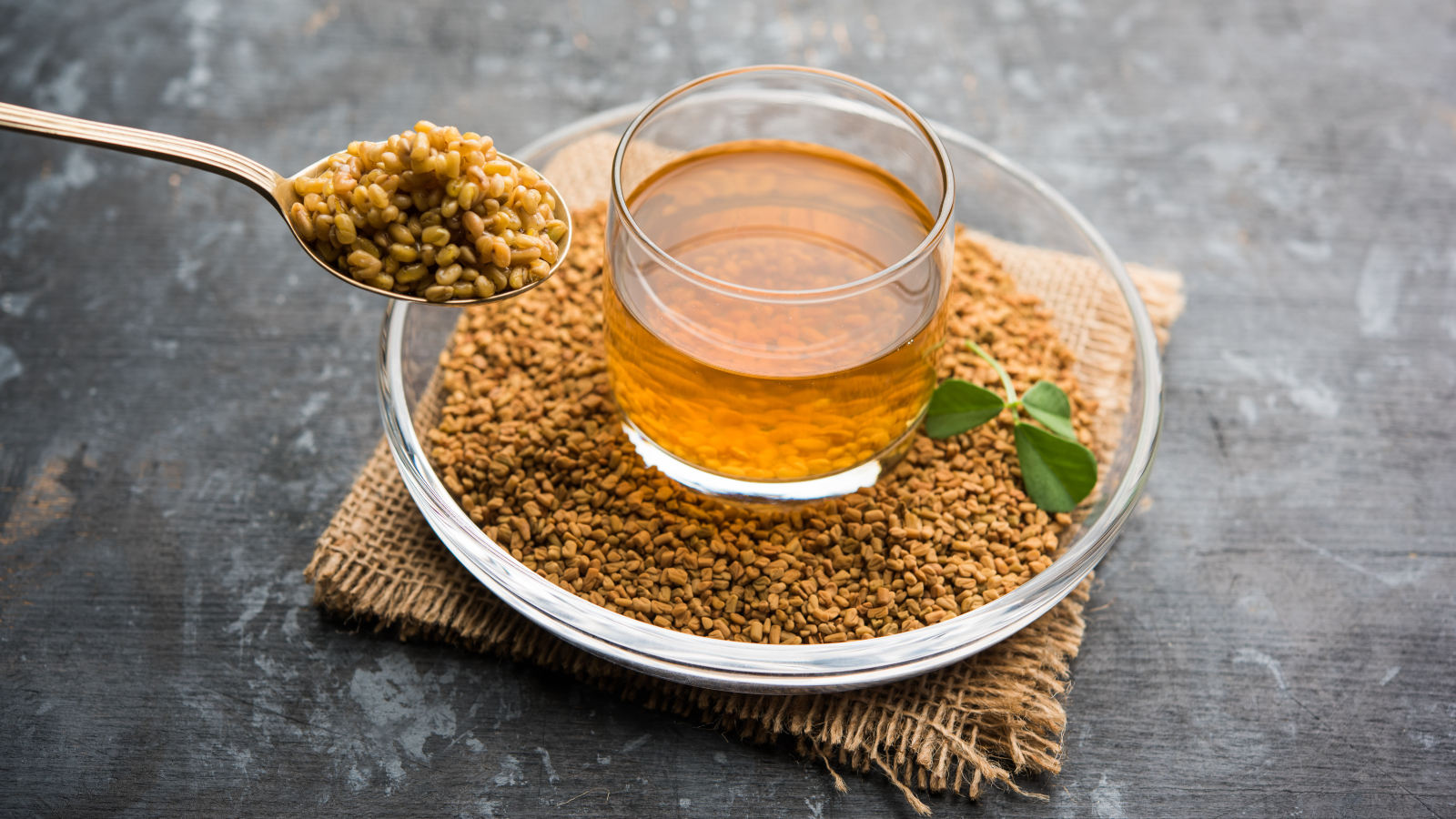 فوائد الحلبة للدورة الشهرية البوابة