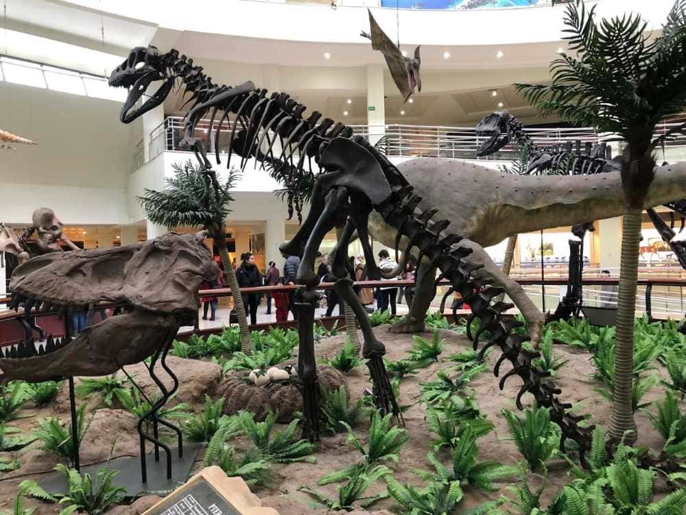 الأنشطة الترفيهية بمتحف التاريخ الطبيعي في أنقرة