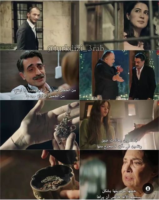 طائر الرفراف