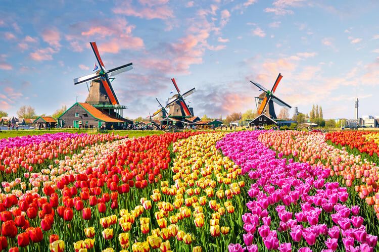 Where to Go for Beautiful Spring Scenery
