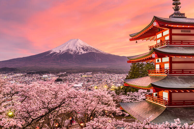 Where to Go for Beautiful Spring Scenery