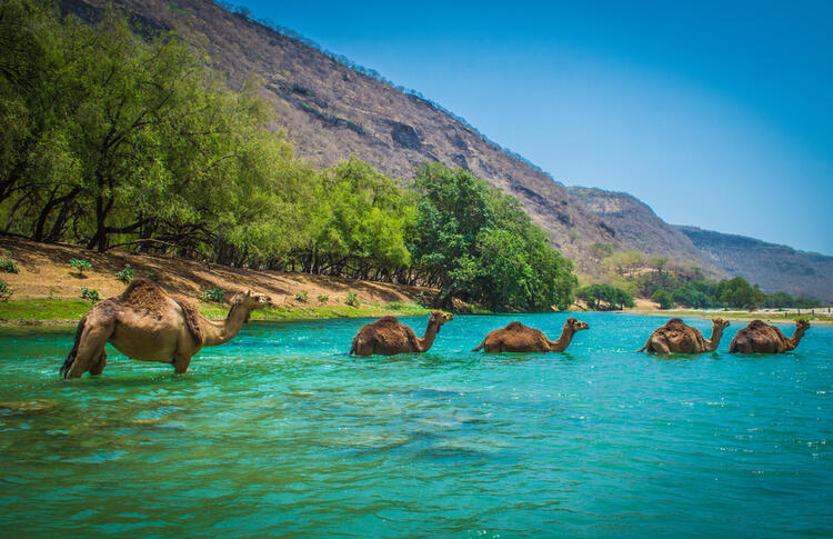 Outdoor Adventures in the Middle East