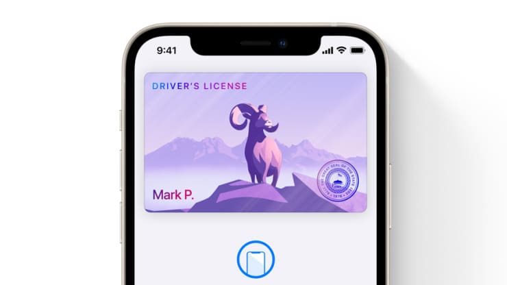 iOS 15 driver's license