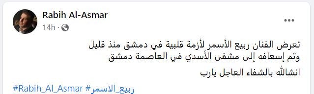 ربيع الأسمر