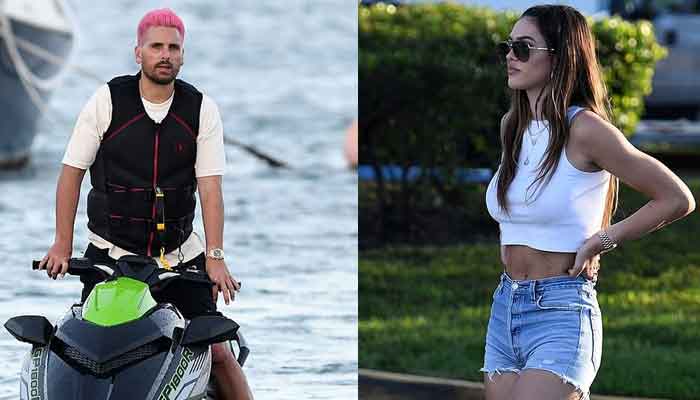 سكوت ديسك وإميليا هاملين