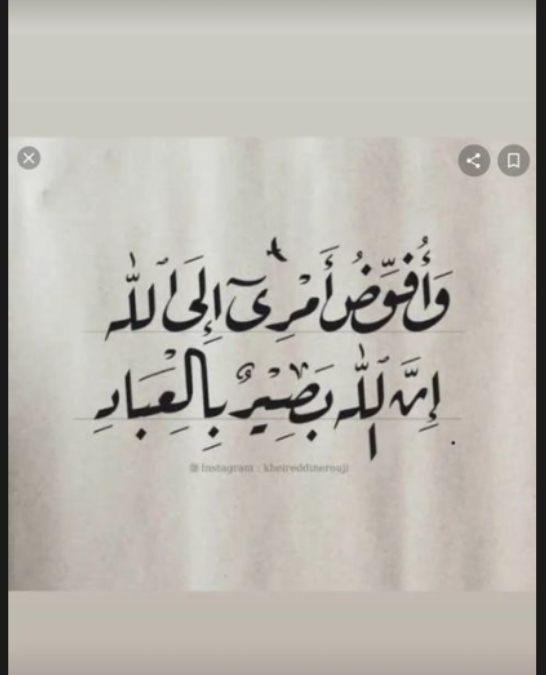 حسام حبيب