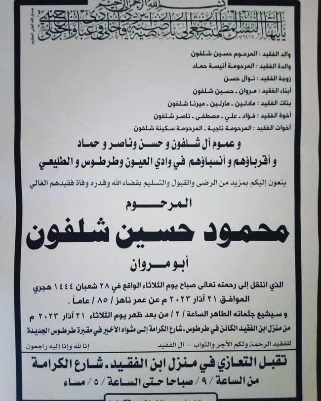 ميرنا شلفون