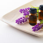 يساعد اللافندر على تحطيم أغشية خلايا الفطريات